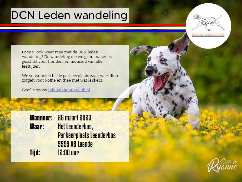 Dalmatier Club Nederland I wandeling in het Leendebos