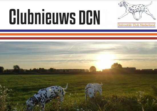 Clubnieuws Dalmatier Club Nederland 