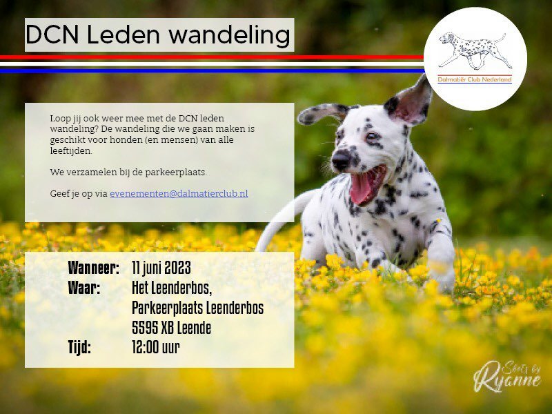 Dalmatier Club Nederland I wandeling bij Eindhoven