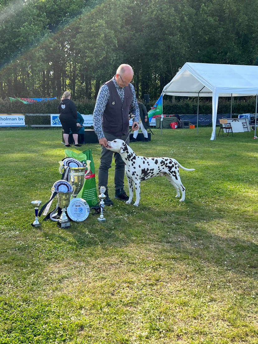 Dalmatier Club Nederland I BOB Wafdal 2023